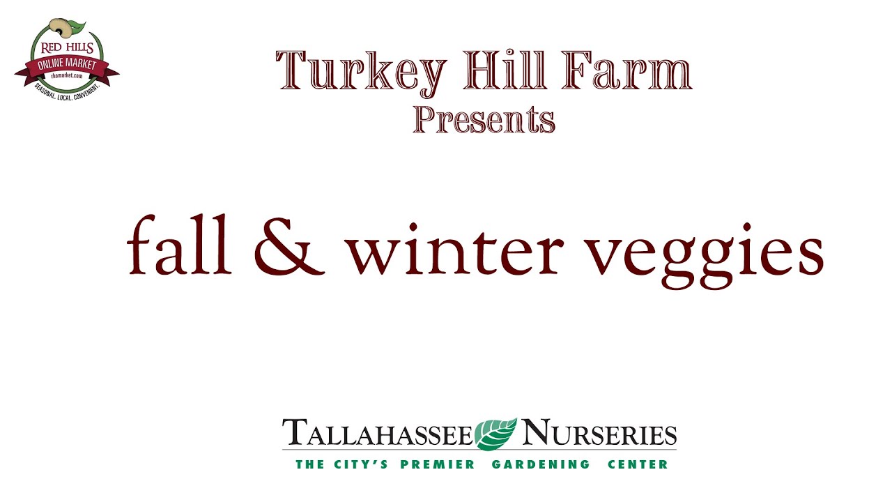 Fall & Winter Veggies by Turkey Hill Farm