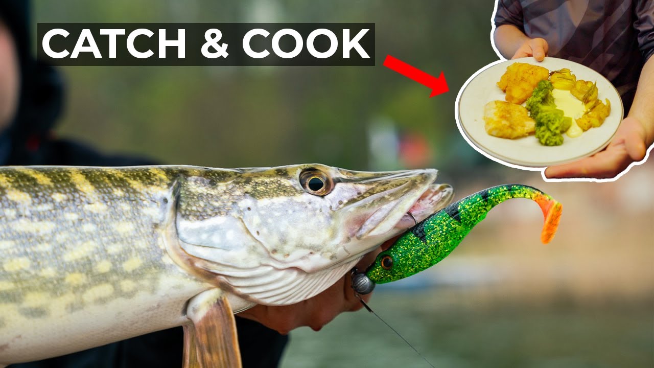 Spontan mit dem RUDERBOOT | HECHT angeln im FRÜHJAHR + Catch&Cook