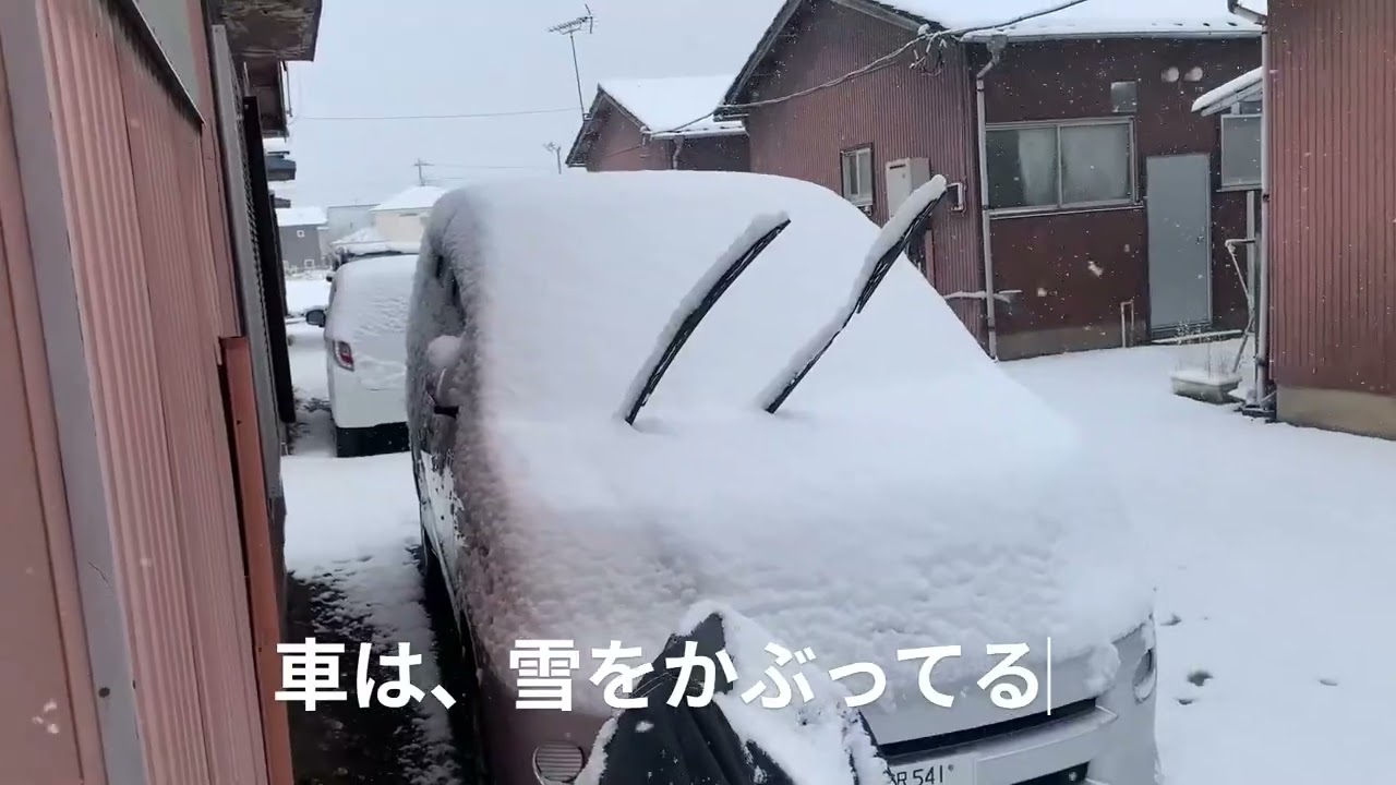 雪が降ってきた！