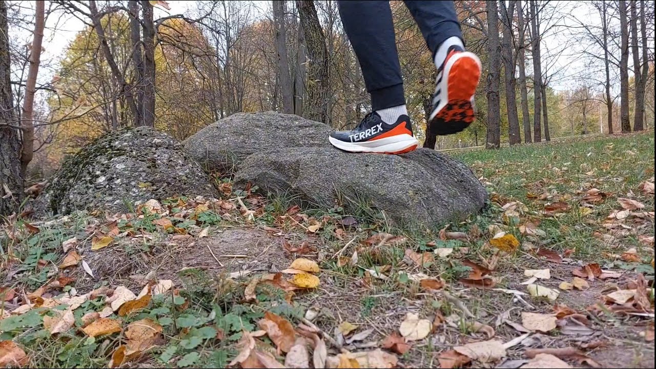 Adidas Terrex Agravic Speed.