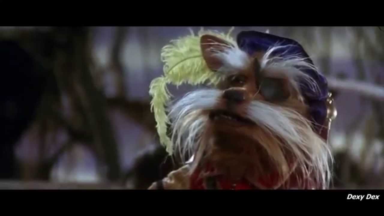 Labyrinth  Didymus 