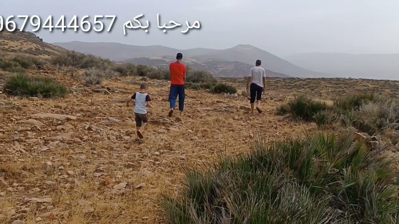 بلاد بطاطا رخيصة هكتار 3 مليون للبيع أرض مجودا حتى 50 هكتار الله ارحمنا بشتا وتلج