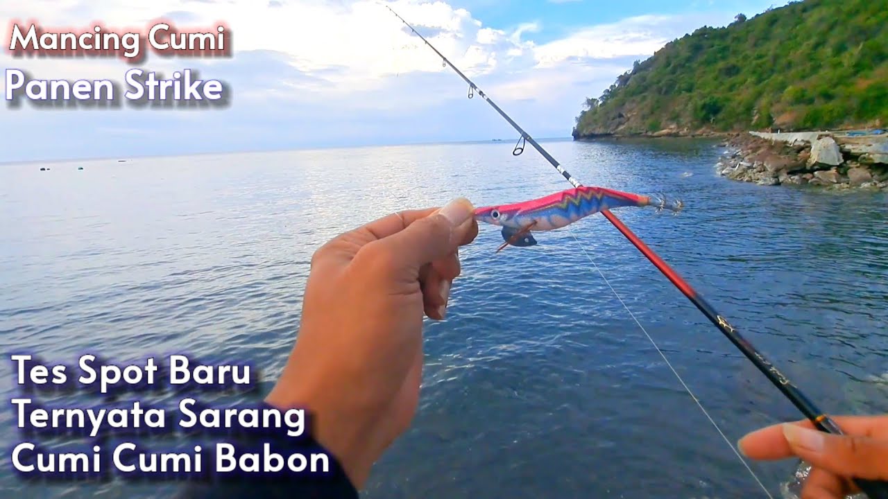 Spot baru Ternyata sarang cumi babon || Mancing cumi di pinggiran pantai pagi hari