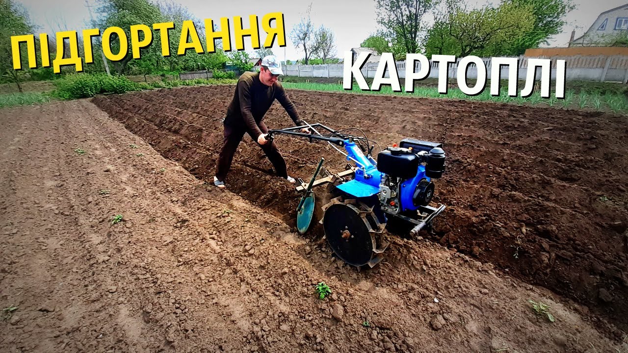 ПІДГОРТАННЯ КАРТОПЛІ МОТОБЛОКОМ КЕНТАВР 6лс / ОКУЧИВАНИЕ КАРТОФЕЛЯ МОТОБЛОКОМ КЕНТАВР/ВАНЬОК