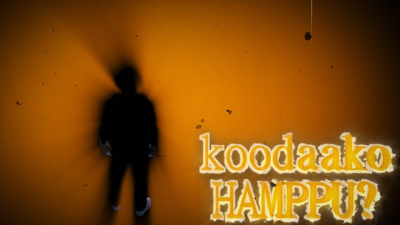 Koodaako Hamppu? #luotirp