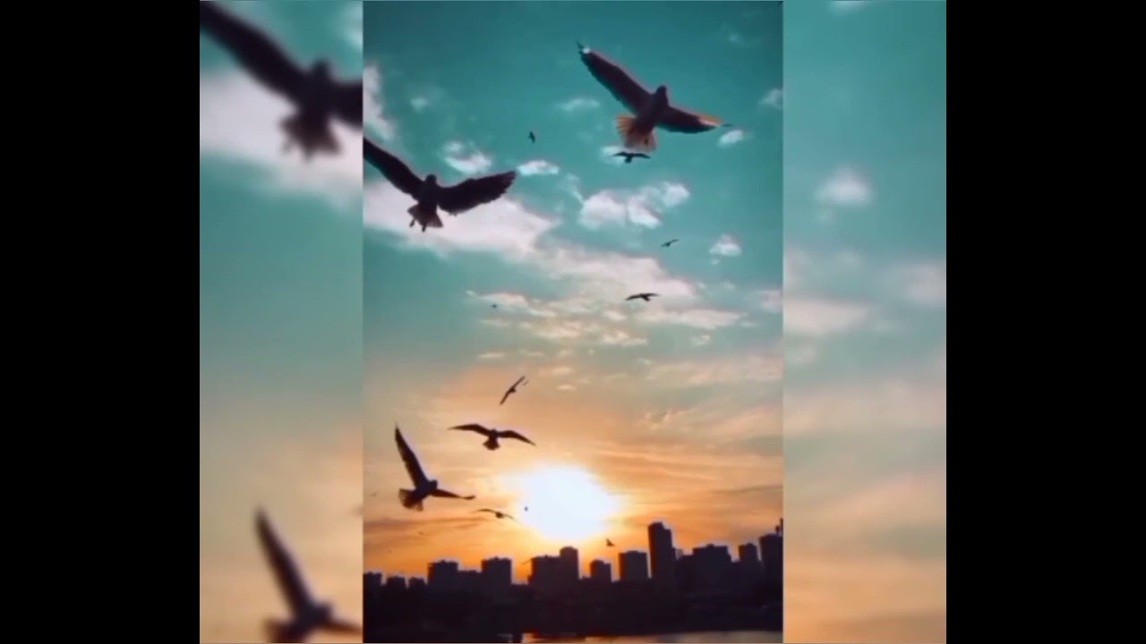 YÂR YARASI... | Ferhâd Fânî