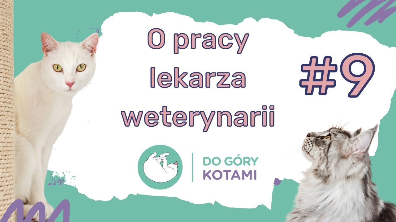 O pracy lekarza weterynarii - Weterynarz też człowiek | Podcast Do góry kotami 009 |Joanna Szopińska