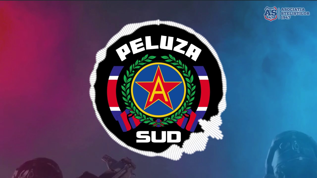 SUD STEAUA - Și de câinii erau în gară..