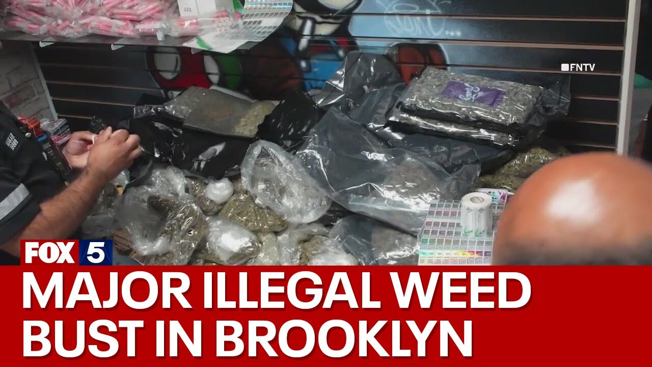 Major illegal weed bust in Brooklyn