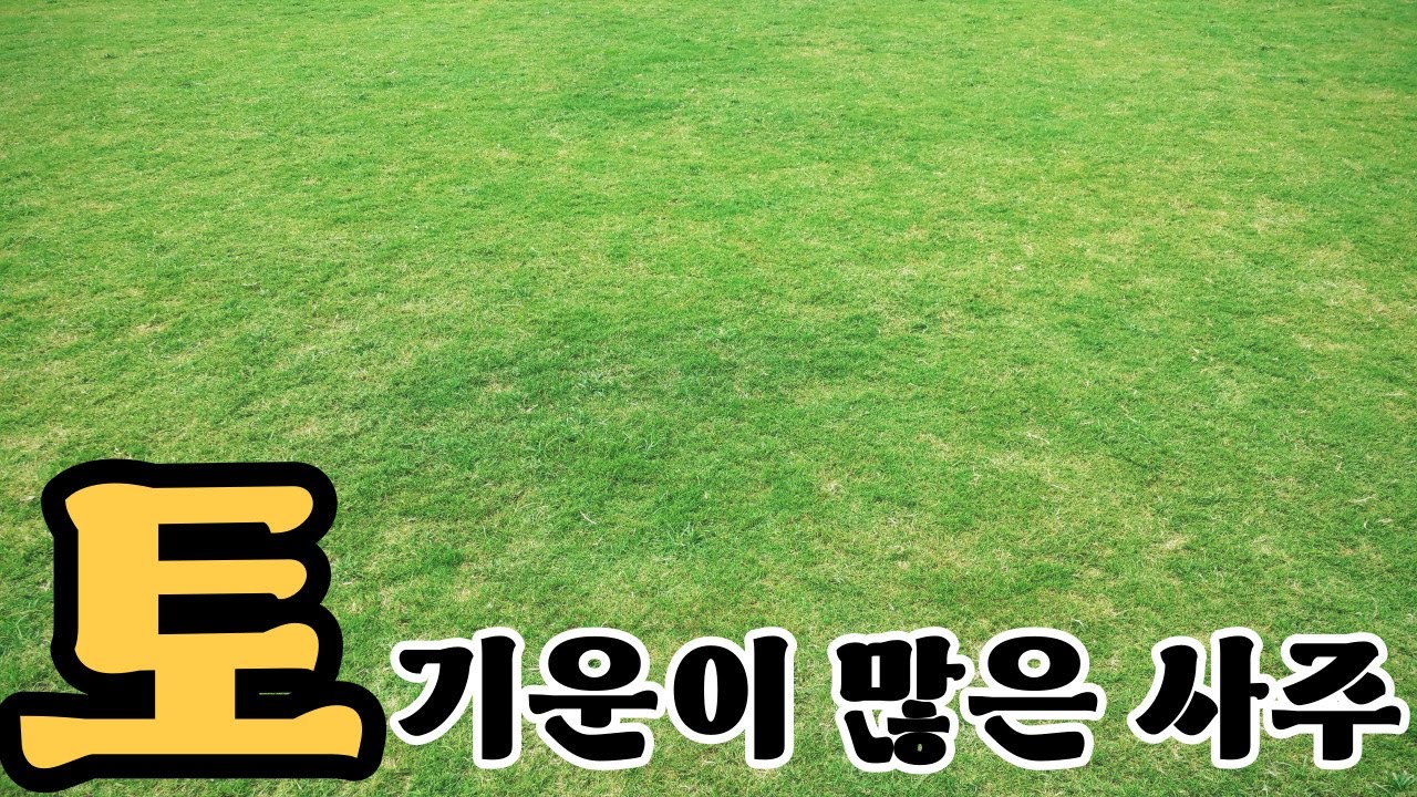『토(土) 기운이 많은 사주』 土의 태과｜초급