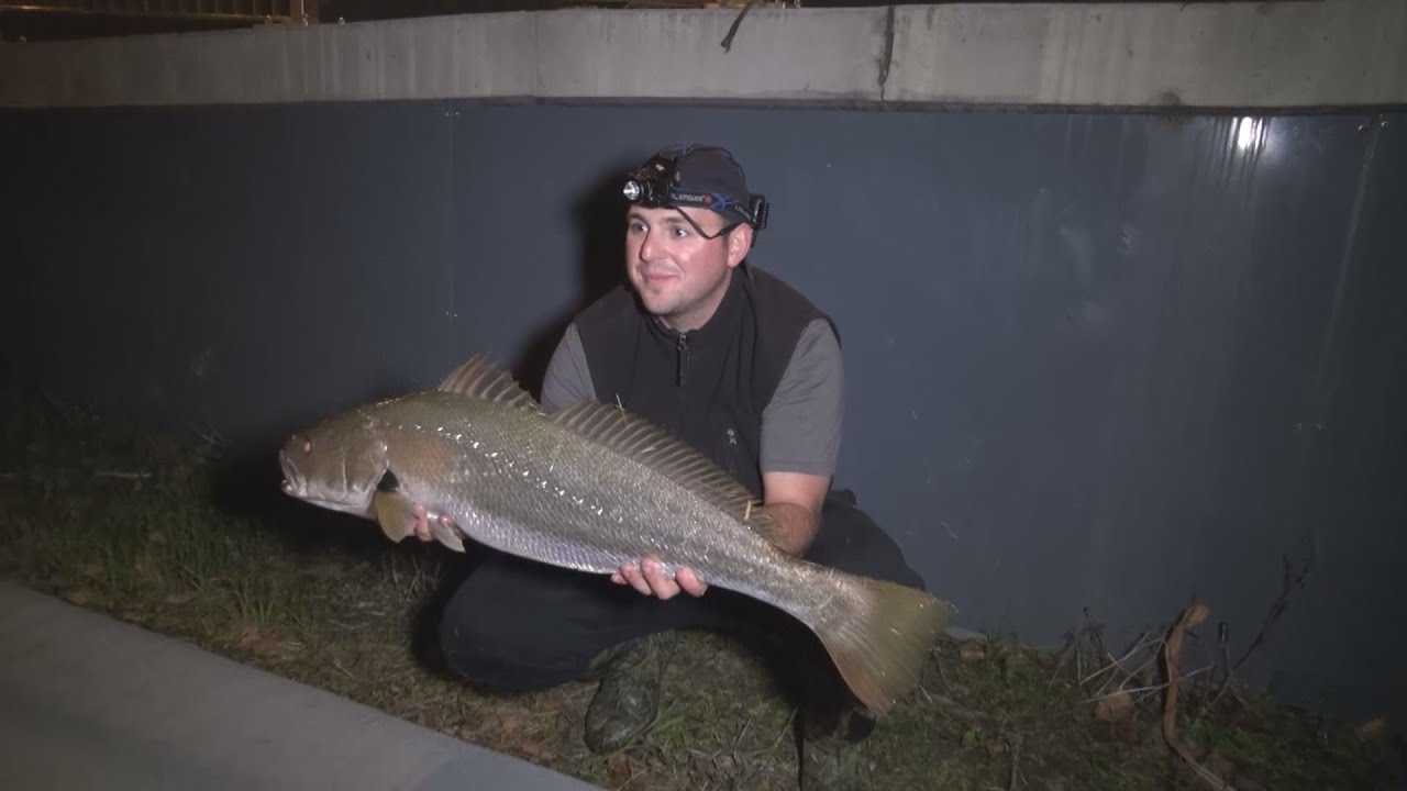 Oz Fish TV S7 E9 - Наземная станция Мельбурн Маллоуэй!