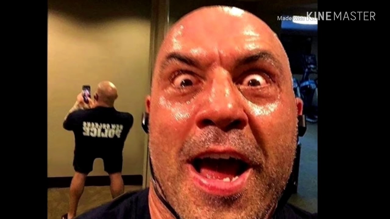 bonfire meme mashup but its a dead meme, its pg, family friendly, clean ,and took too long to make