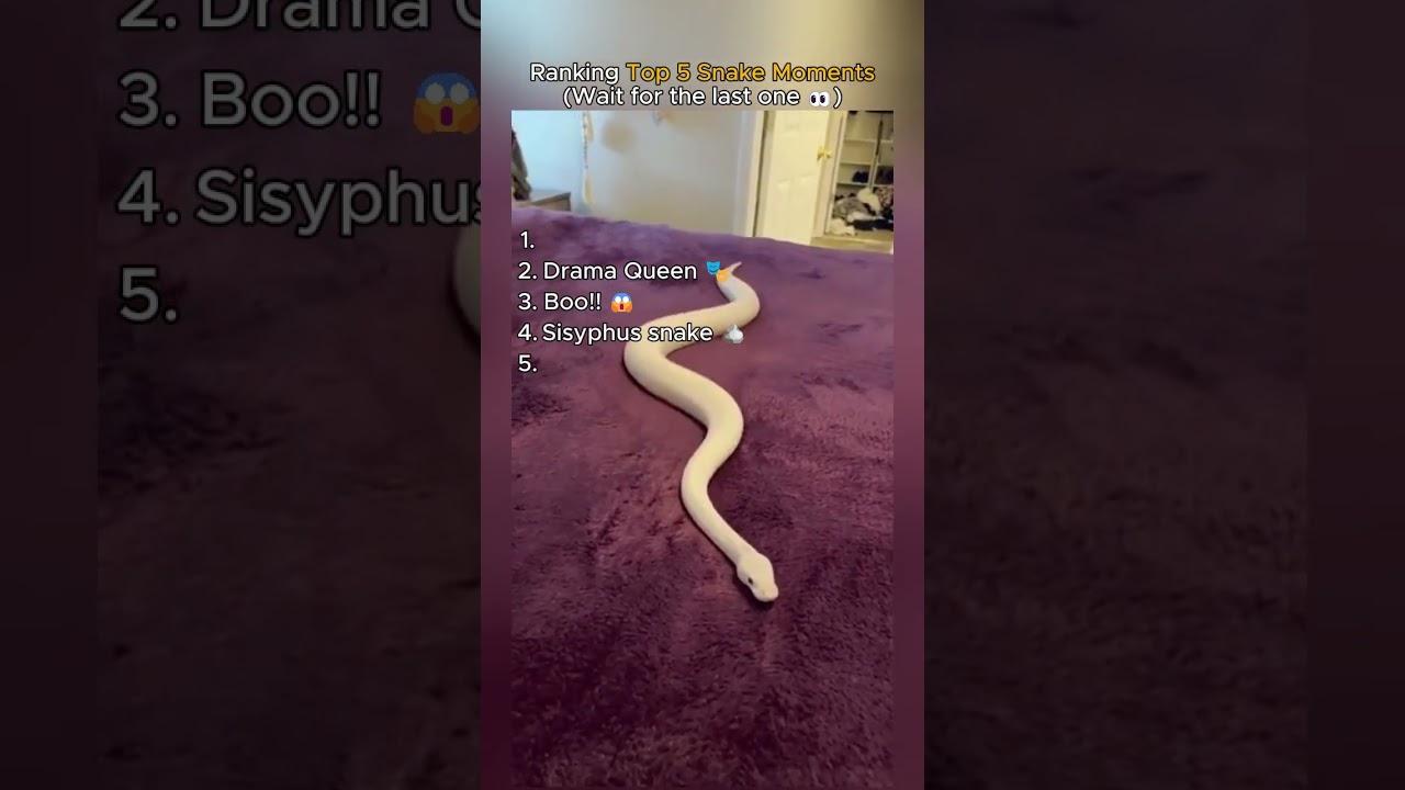 Ranking Top 5 Snake Moments