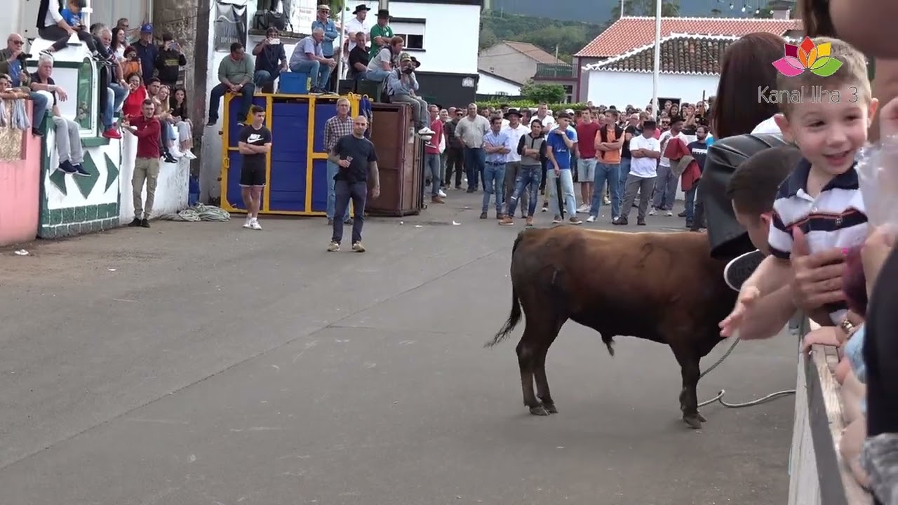 CONCURSO DE GANADARIAS 4 PUROS SÃO JOÃO VILA DAS LAJES AJF- GR FHF- BR