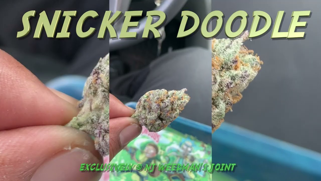 SNICKERDOODLE *Bud Strain* (Exclusively @njweedmansjoint )