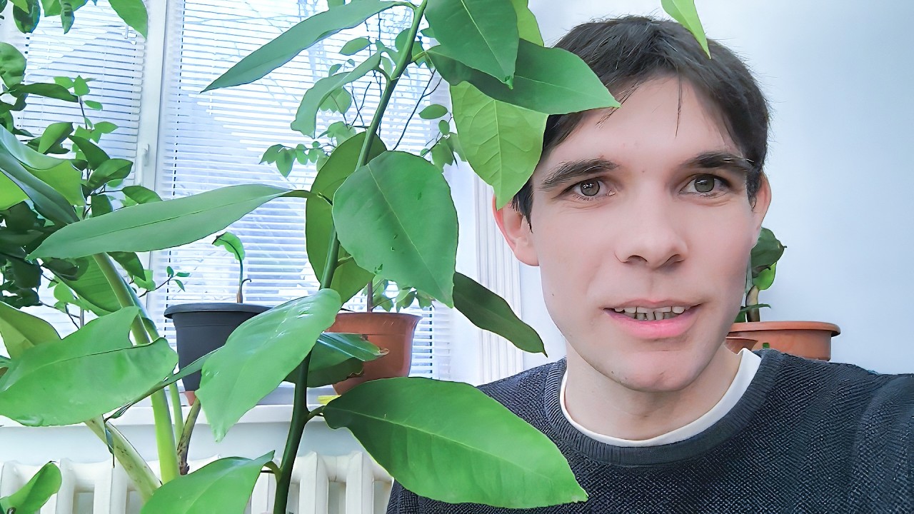 Indoor Plants Update  - February 2026 🪴