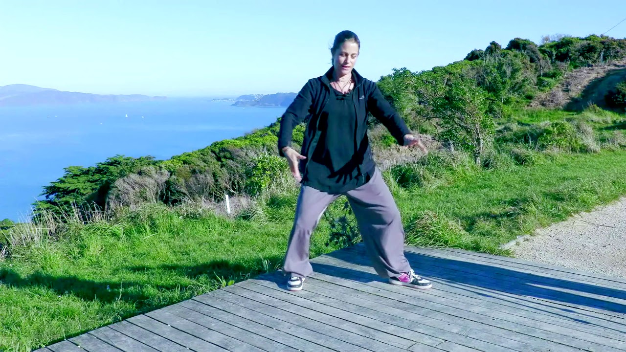 Tai Chi 5 Min a Day - Mod 05  Dragon Flies Touch the Water,  Fair Lady,  Double Spiral - one camera