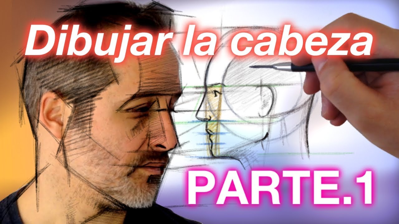 Como dibujar la cabeza. Parte 01. Las proporciones de perfil.