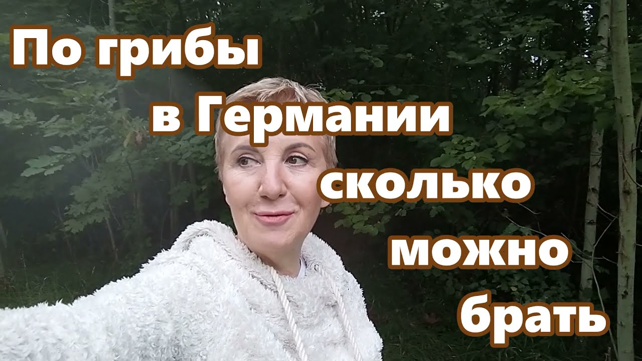 Грибы и грибники в Германии. Что будет если поймают.