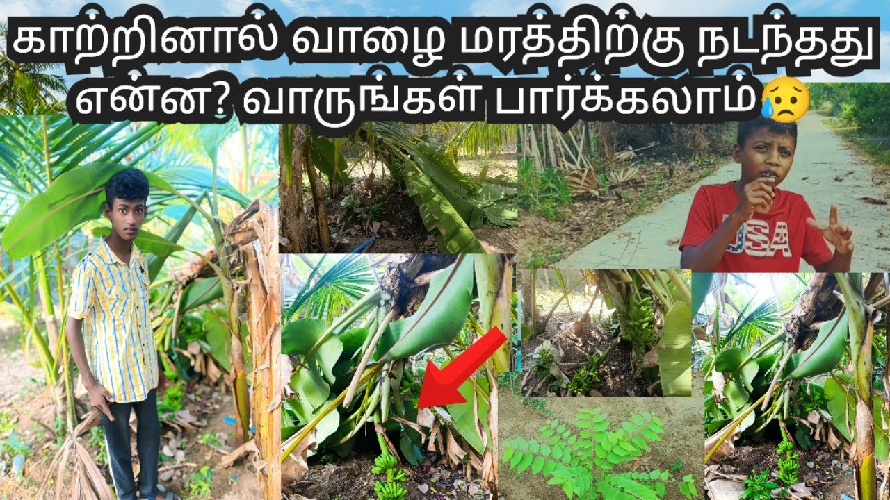எங்களின் வீட்டில் நடந்த சோகமான சம்பவம் 😥