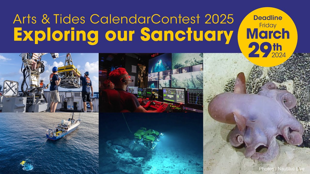 Arts and Tides Calendar Contest 2025 Theme 
