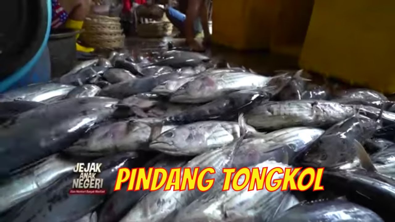 Proses Pembuatan Pindang Tongkol Khas Kendal | JEJAK ANAK NEGERI