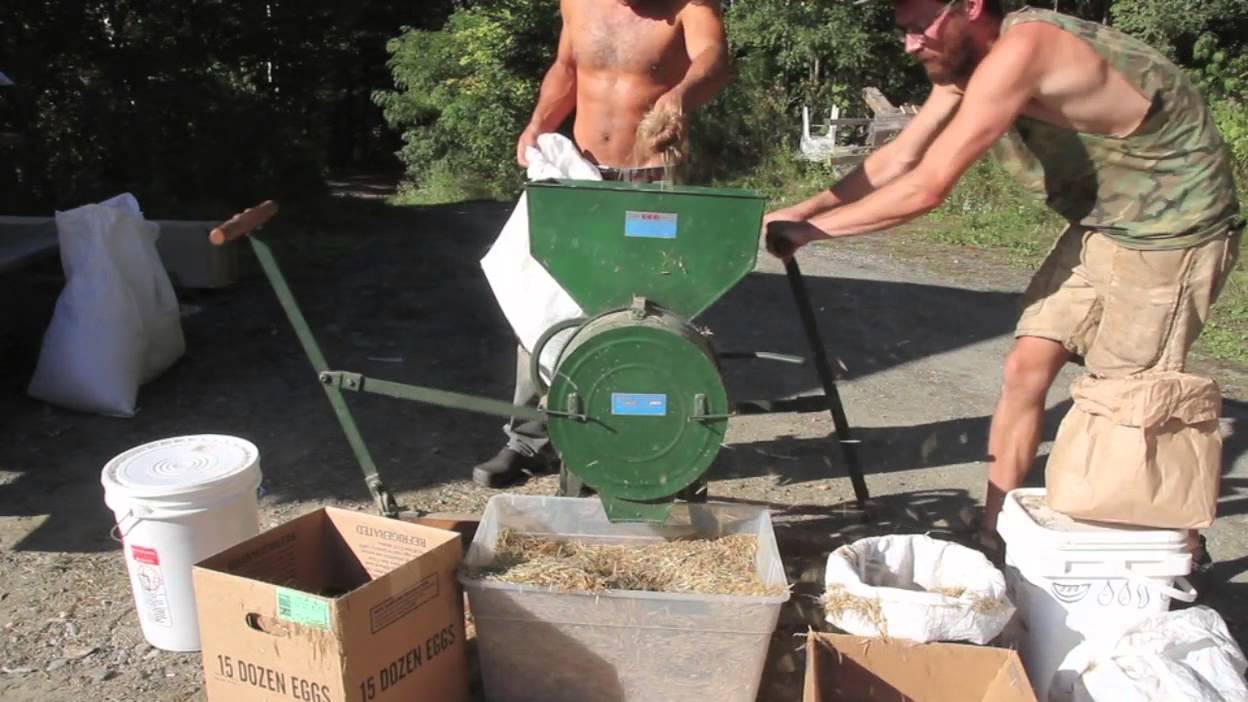 Wild Rice Hulling the Fast Way