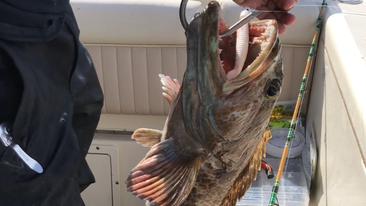 Monterey Bay Fishing Charter|Rock Cod,Big Ling Cod and more...