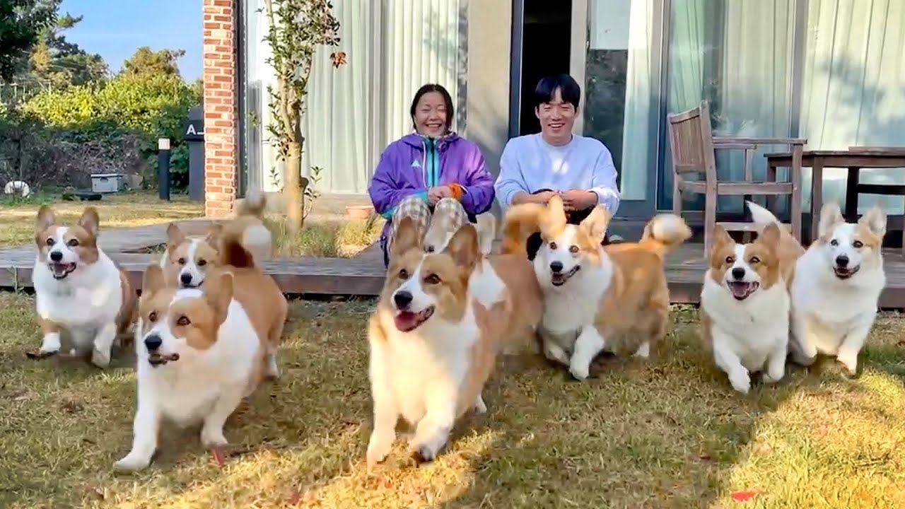 제주도에 사는 어느 부부의 평생 소원 🥹 (feat. 제주에서 만난 사람들)