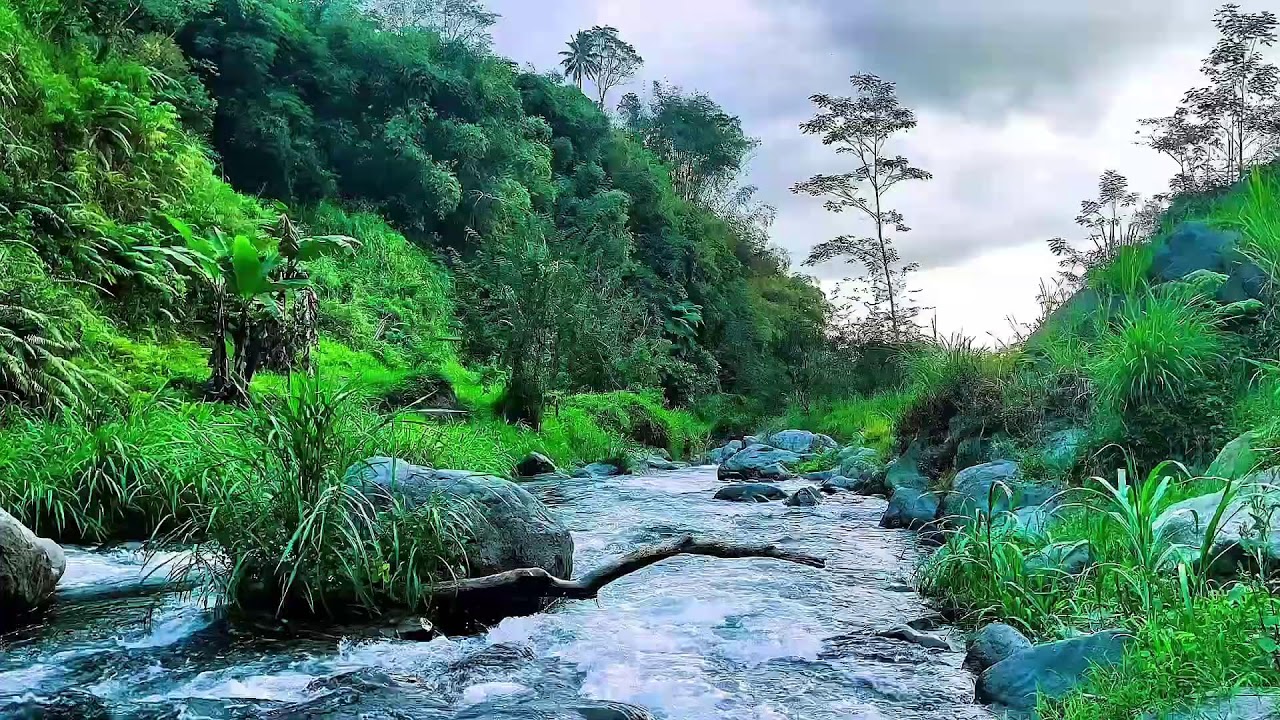 {Pure Mountain Stream Sounds Bukit Menoreh for Relaxation Sleep Meditation Yoga}