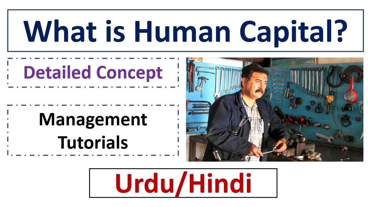 What is meant by Human Capital?