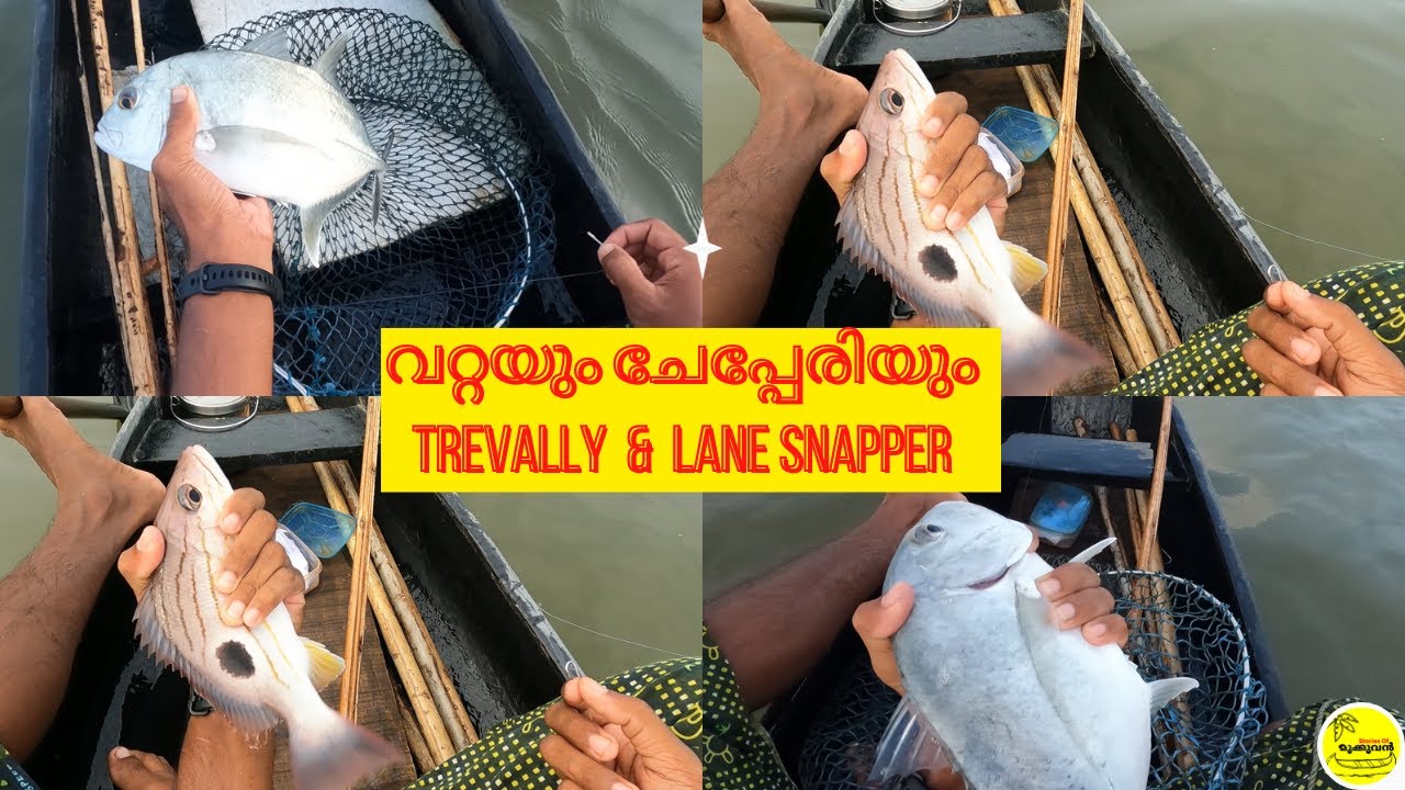 stories of MUKKUVAN / FISHING TREVALLY FISH AND LANE SNAPPER...