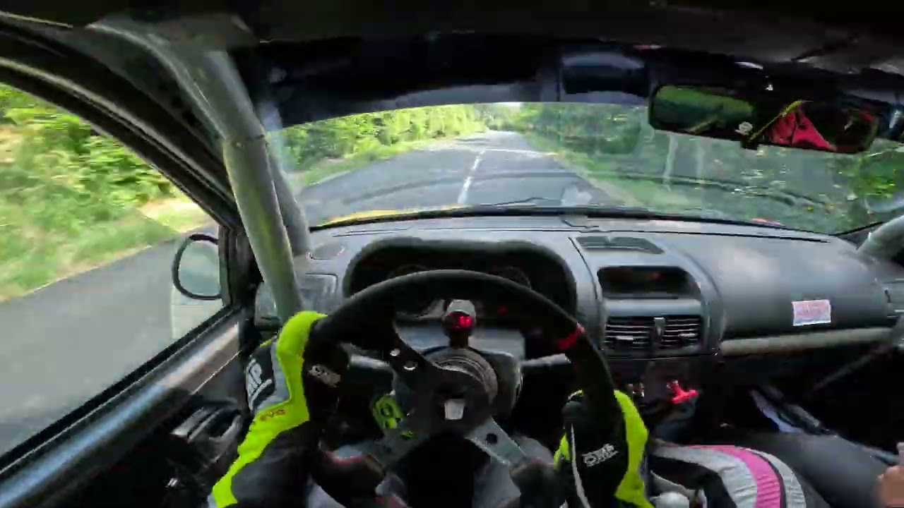 Rallye des Bornes - Es Thorens (1) - Richard/Della Pina - Clio N3