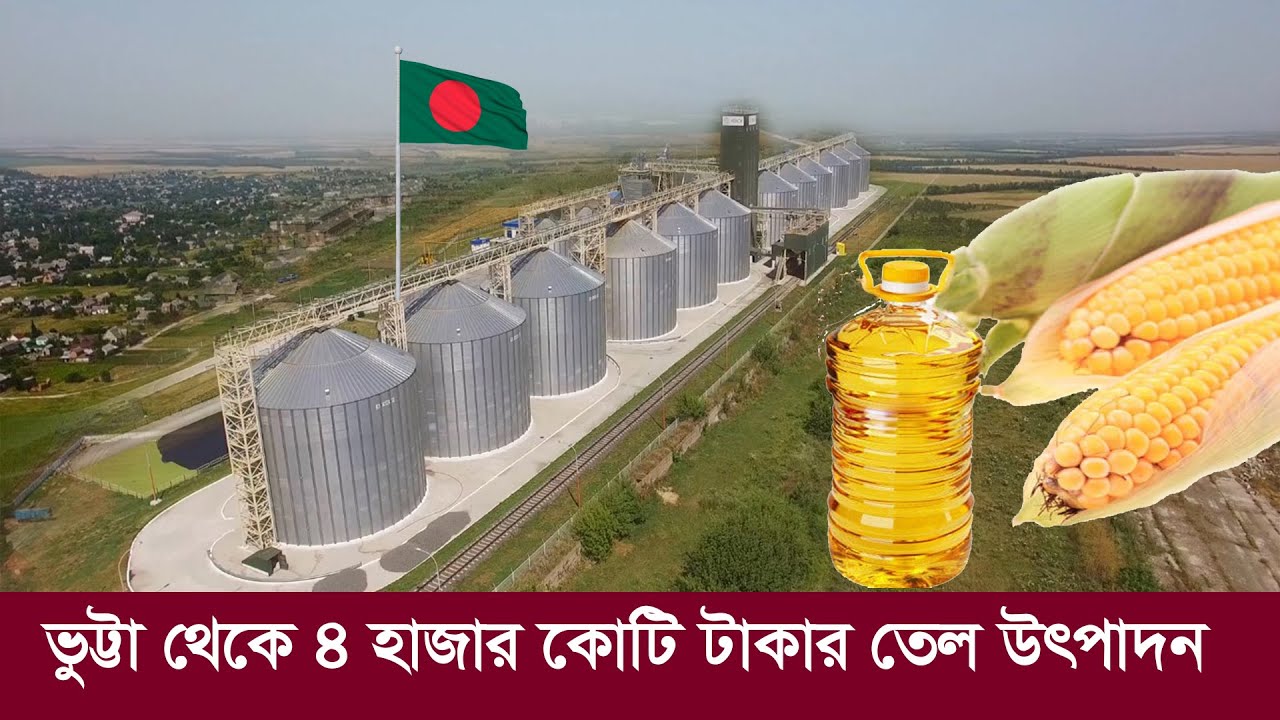 বাংলাদেশের কেরামতি !! ভুট্টা থেকে তেল উৎপাদনে আয় ৪ হাজার কোটি !! Corn Oil - Bangladesh