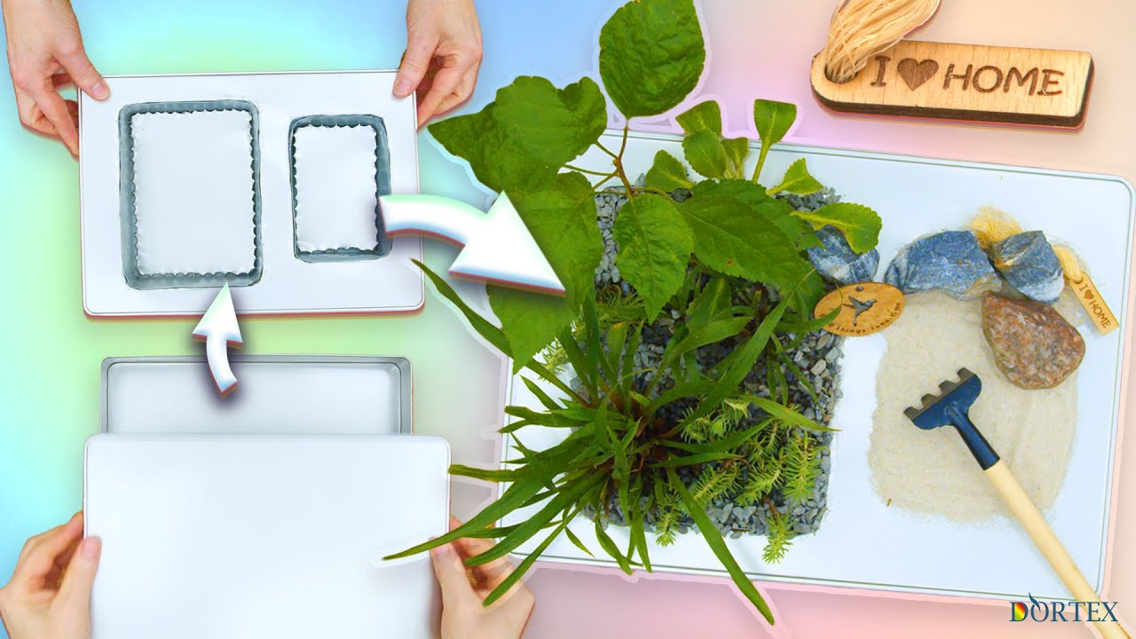 DIY Mini Zen-Garten | Upcycling Bastelidee mit Aluminiumdosen