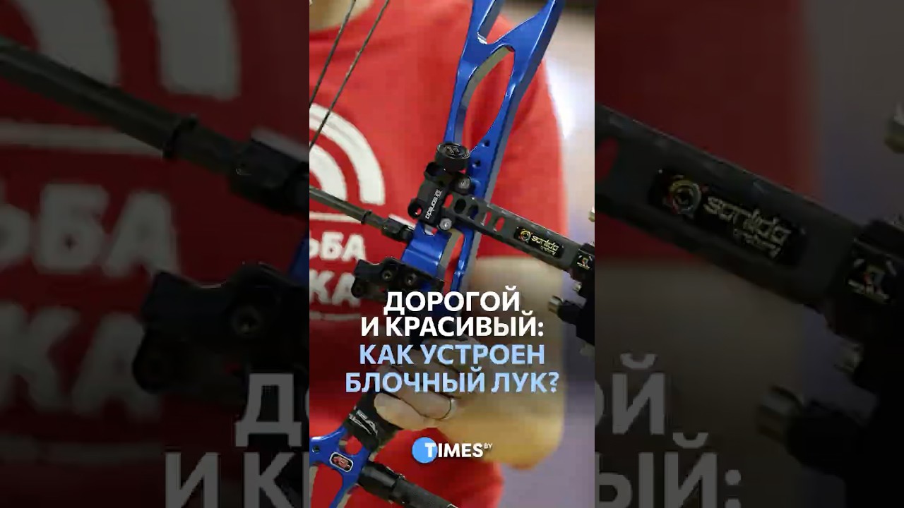 Блочный лук vs традиционный: что выбрать #луки #лучник #стрельбаизлука #сравнение