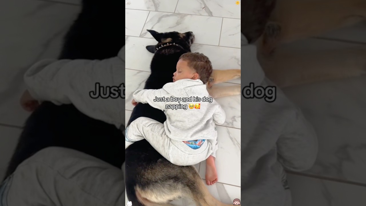 Kids sleeping with a dog #baby#pet#sleeping#dog#fyp