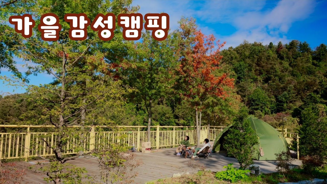 강촌 마운틴뷰 단풍캠핑은 여기로 가세요🍁가성비 캠핑용품 테무깡🐶애견동반캠핑ㅣ춘천 스칼라