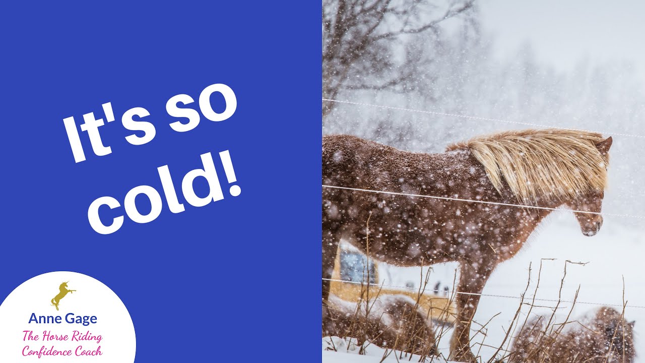 Horse Riders of A Certain Age: What If It's Too Cold To Ride Your Horse?