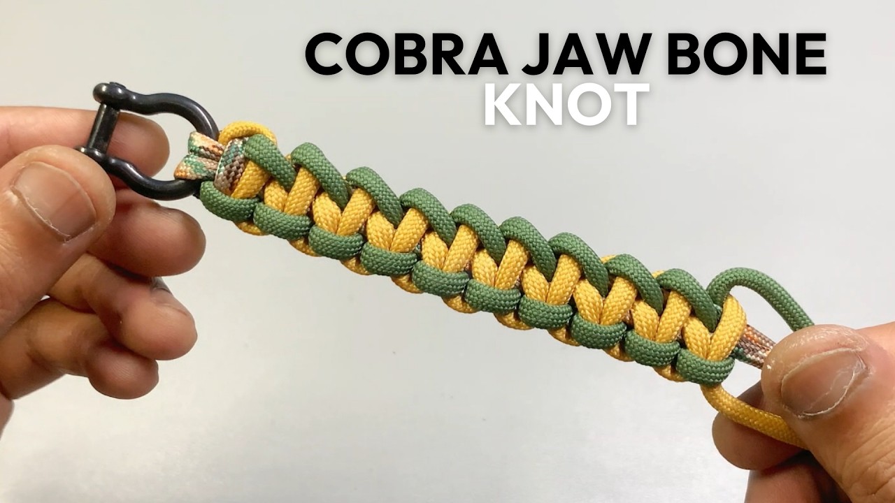 Cobra Jaw Bone