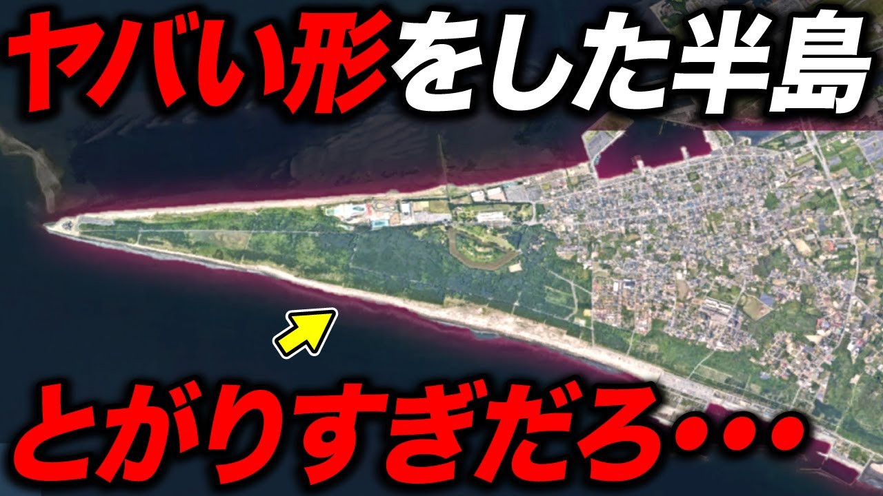 意外と知らない!? 針のように尖った 