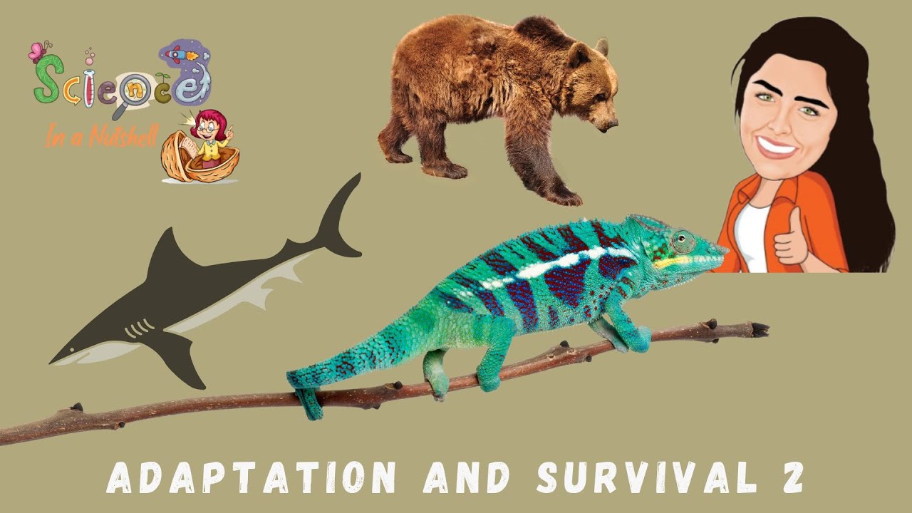 Science-Grade 4 -Animals Adaptation and Survival - Part  2 -  شرح باللغة الانجليزية فقط