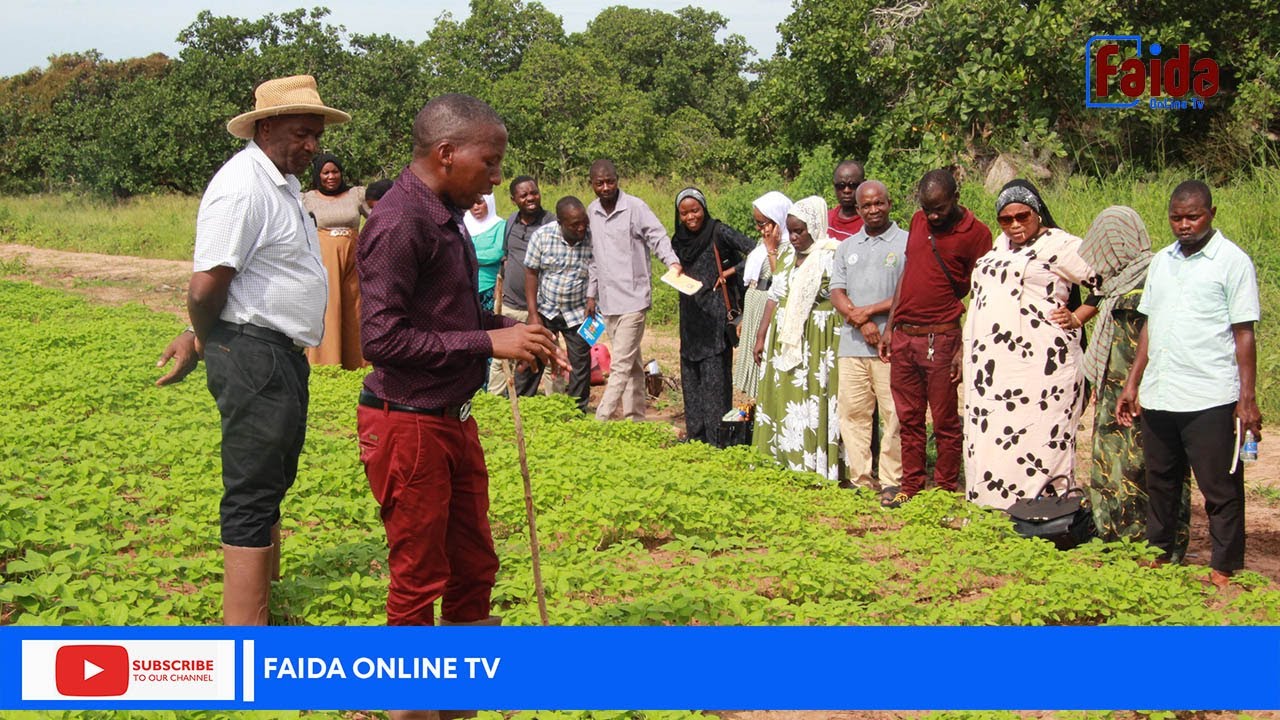 TARI NALIENDELE YATOA MAFUNZO KWA MAAFISA KILIMO KUHUSU ZAO LA UFUTA MTWARA.
