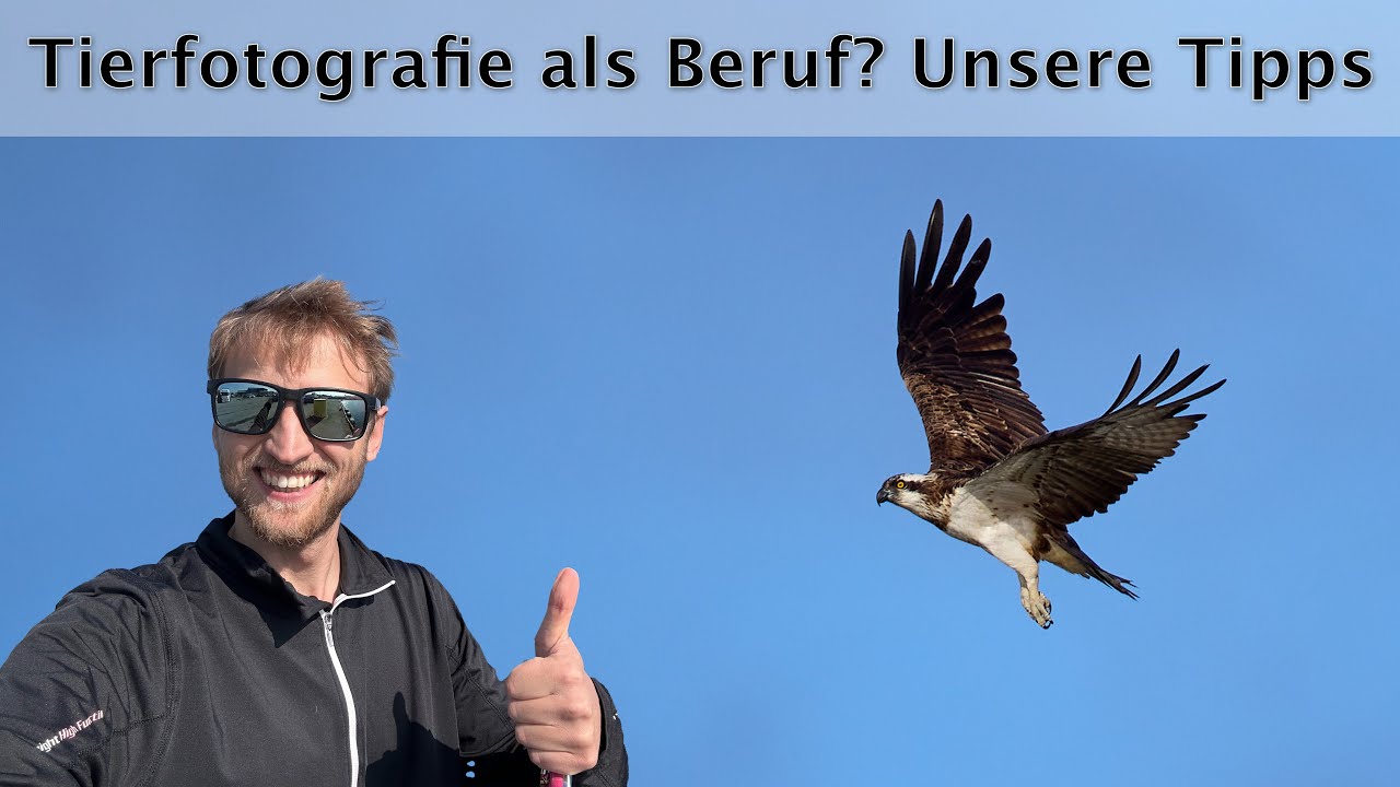 Geld verdienen mit Tierfotografie? Vor- und Nachteile mit @Chris Kaula