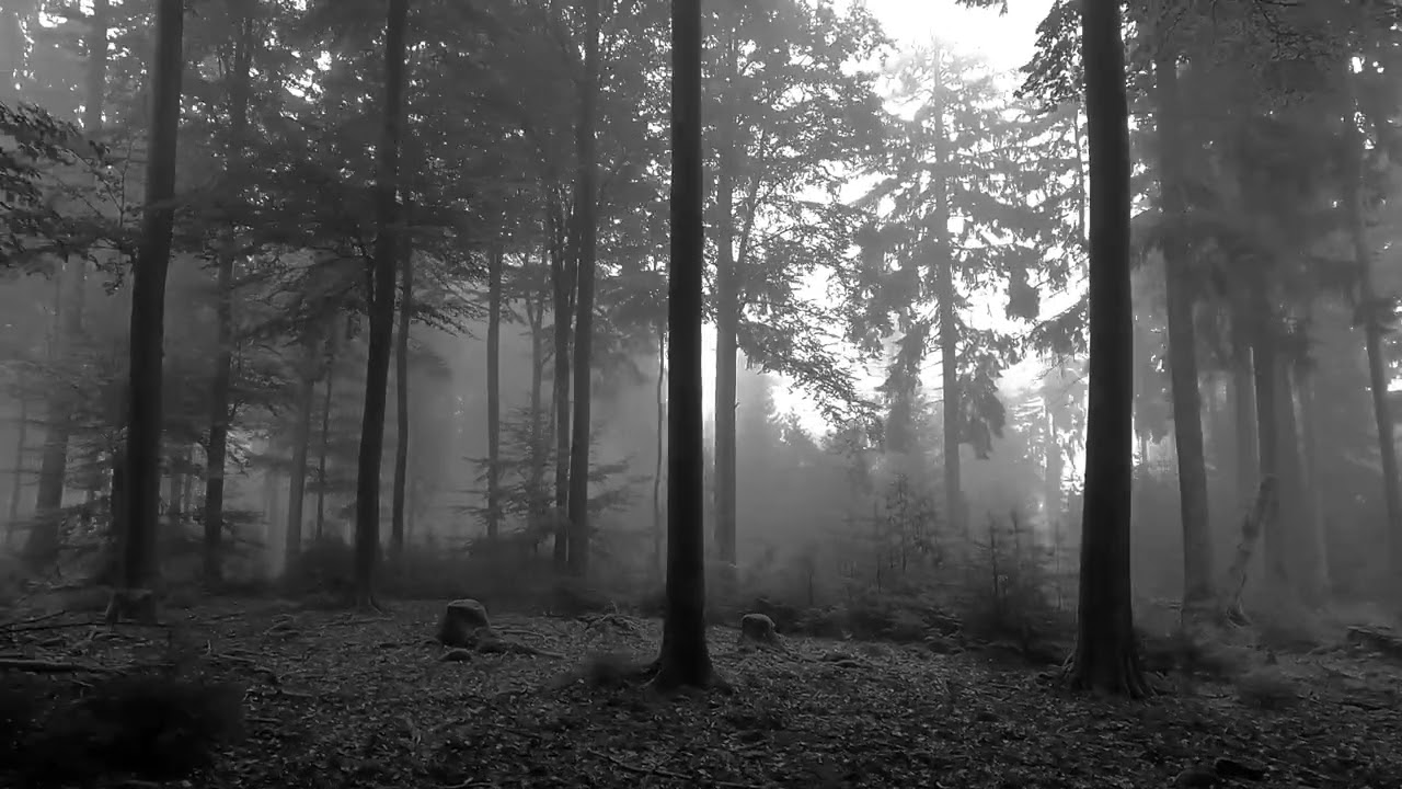 Atmospheric Ambient Dub Techno- Askprojekt - On the Prowl