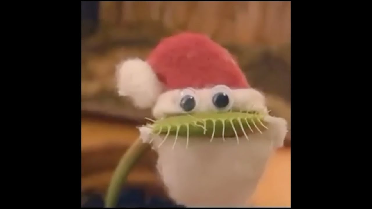clean christmas vines for a jolly good time