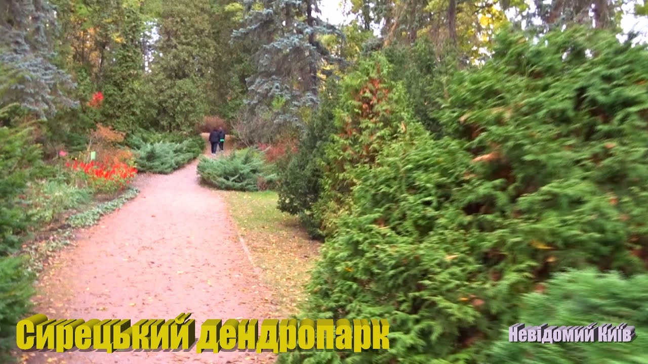 Сырецкий дендропарк. Неизвестный Киев