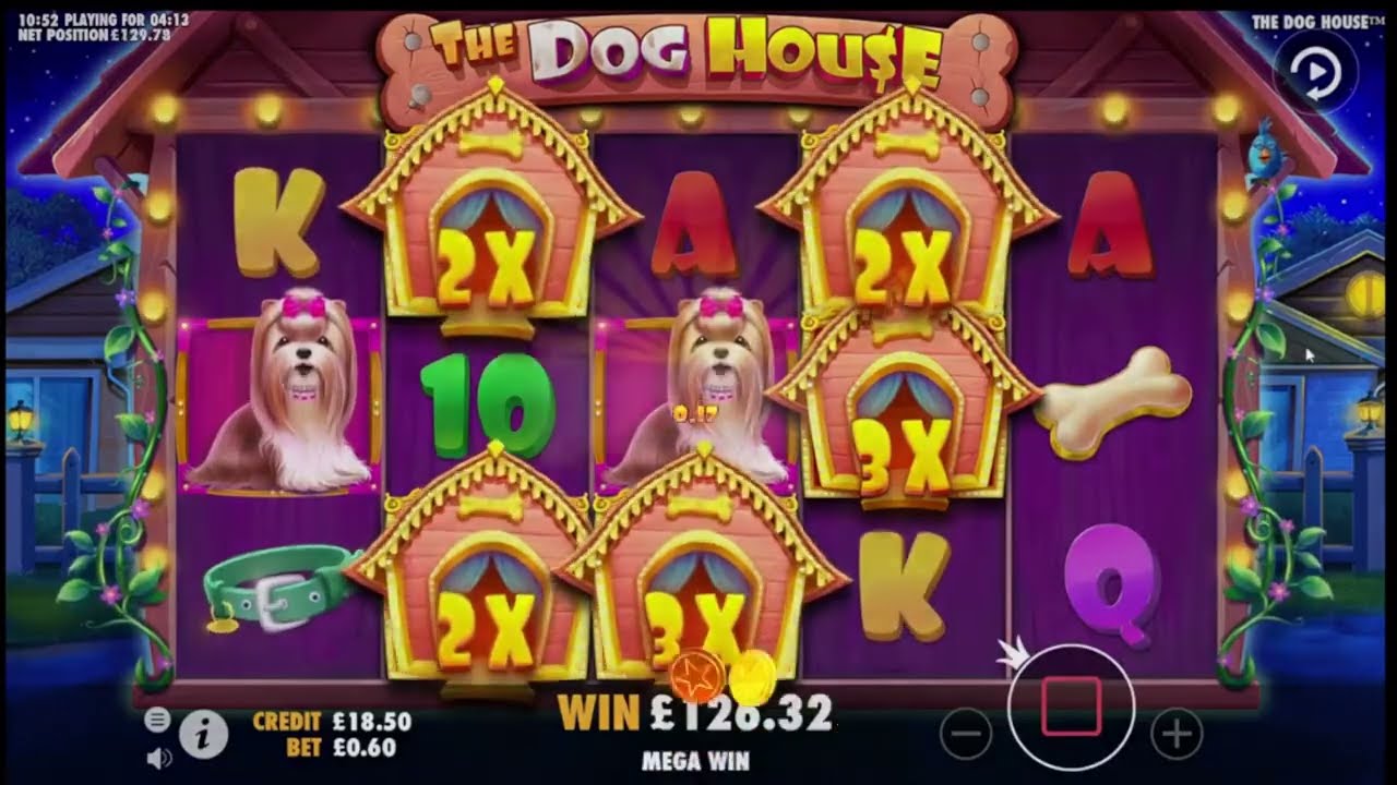 THE DOG HOUSE | Free Spins | MASSIVE Single Hit Win