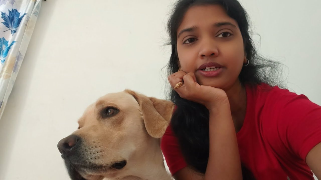 Joy ka 7th vlog | Joy ko market Jana hai ❣️ | @Journeyoffjoy