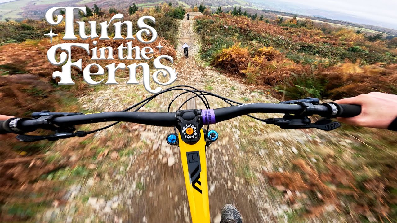 TURNS IN THE FERNS FULL RUN - DYFI BIKE PARK 🌿